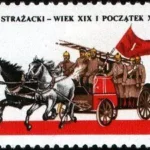 Warszawskie pojazdy konne