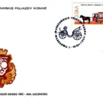 Warszawskie pojazdy konne