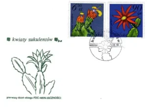 Kwiaty sukulentów - kaktusy