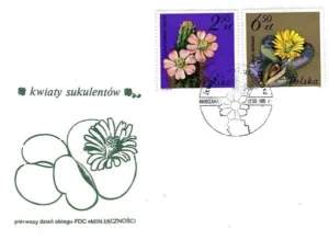 Kwiaty sukulentów - kaktusy