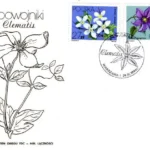 Powojniki - Clematis
