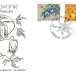 Powojniki - Clematis