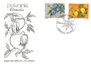 Powojniki - Clematis
