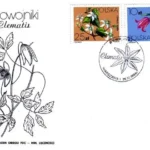 Powojniki - Clematis