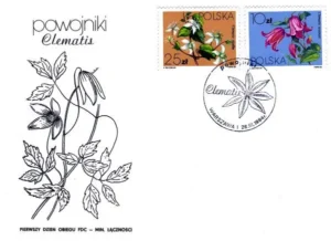 Powojniki - Clematis