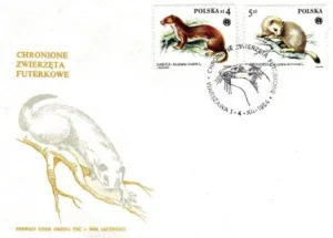 Chronione zwierzęta futerkowe