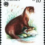Chronione zwierzęta futerkowe