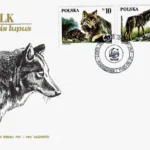 Dzikie zwierzęta chronione - wilk
