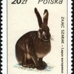 Ptactwo i zwierzyna łowna