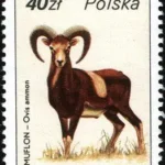 Ptactwo i zwierzyna łowna