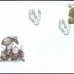 Ochrona przyrody - Grzyby