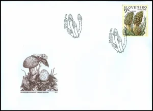 Ochrona przyrody - Grzyby