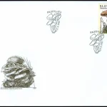 Ochrona przyrody - Grzyby