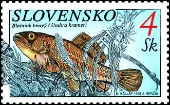 Ochrona przyrody - Ryby