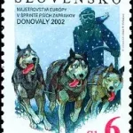 Mistrzostwa Europy Psich Zaprzęgów - Donovaly 2002