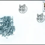Dzikie koty europejskie (WWF)