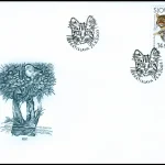 Dzikie koty europejskie (WWF)