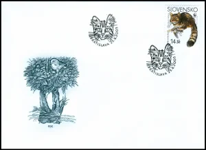 Dzikie koty europejskie (WWF)