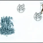 Dzikie koty europejskie (WWF)