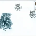 Dzikie koty europejskie (WWF)