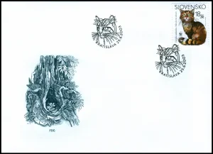 Dzikie koty europejskie (WWF)