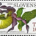 Ochrona przyrody - storczyki