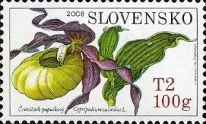 Ochrona przyrody - storczyki
