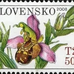 Ochrona przyrody - storczyki