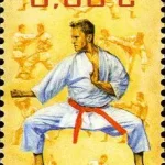 Sport - Sztuki walki