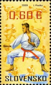 Sport - Sztuki walki