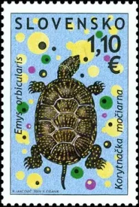 Ochrona Środowiska - Fauna - Żółw błotny