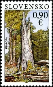 EUROPA - Lasy - Park Narodowy Połoniny