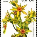 Ochrona przyrody - Park Narodowy Tatry Niskie