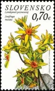 Ochrona przyrody - Park Narodowy Tatry Niskie