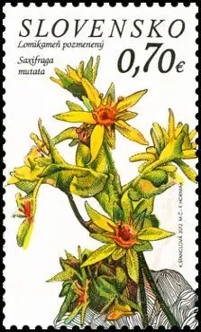 Ochrona przyrody - Park Narodowy Tatry Niskie