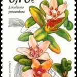 Ochrona przyrody - Park Narodowy Tatry Niskie