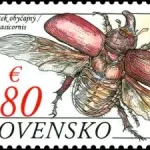 Ochrona przyrody: Sitno - Narodowy rezerwat przyrody