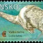 Ochrona przyrody: Obszar Chronionego Krajobrazu Poľana - Wydra (Lutra Lutra)