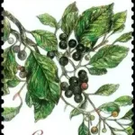 Ochrona przyrody: Państwowy Rezerwat Šúr w pobliżu miasteczka Święty Jur