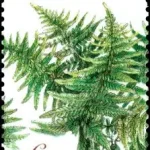 Ochrona przyrody: Państwowy Rezerwat Šúr w pobliżu miasteczka Święty Jur