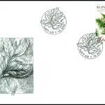 Ochrona przyrody: Państwowy Rezerwat Šúr w pobliżu miasteczka Święty Jur