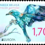 EUROPA 2019: Rzadkie ptaki - Coracias garrulus (Kraska)
