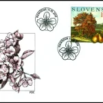 Ochrona przyrody: Drzewa owocowe - Pyrus communis (Grusza pospolita)