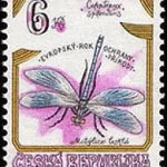 Zagrożone owady w Czechach Szalejka błyszcząca (Calopteryx splendens)
