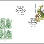 Ochrona przyrody: ogród botaniczny w Koszycach - Magnolia Grandiflora