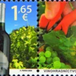 Uprawa winorośli na Słowacji i na Malcie