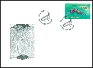 Ochrona przyrody: Demianowska Jaskinia Wolności - Niphargus tatrensis