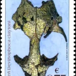 Ochrona przyrody: skamieliny ze Słowacji Foka Devinophoca claytoni