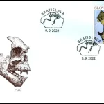 Ochrona przyrody: skamieliny ze Słowacji Foka Devinophoca claytoni