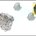 Ochrona przyrody: skamieliny ze Słowacji Gastropod Vexillum svagrovskyi